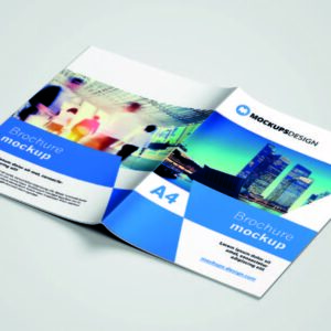 A4 Brochure With Center Folding